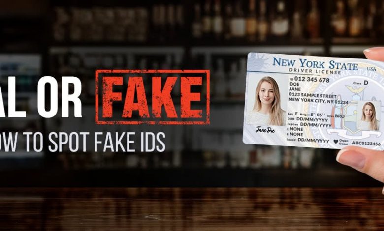 blog-fake-ids-header