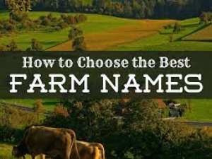 farm names