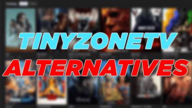 Photo of Best Alternative Of Tinyzone In 2022