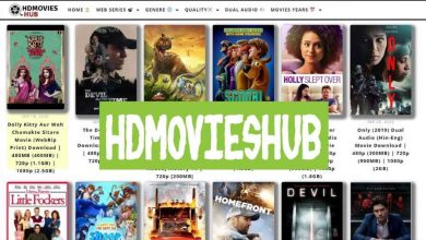 Photo of Download A Movie From The HDMoviesHub In 2022