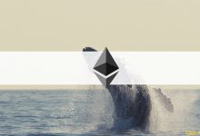 Photo of Whales Dominate DEXs as High Ethereum Fees