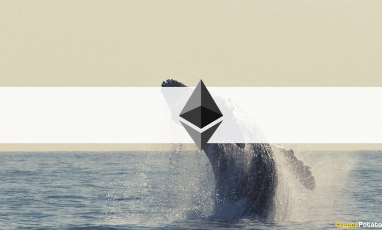 Whales Dominate DEXs as High Ethereum Fees