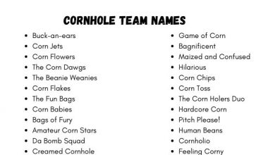 Photo of Best Cornhole Team Names List in 2024