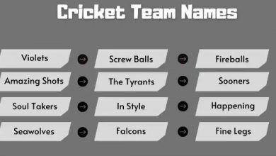 Photo of 200+ Cricket Team Names Ideas List in 2024