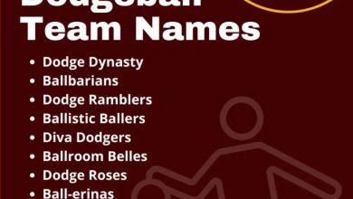 Photo of 300+ Dodgeball Team Names List