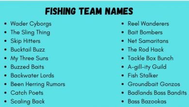 Photo of 500+Best Fishing Names For Teams