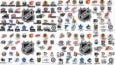 Photo of 300+ Best Hockey Team Names To Ice the Competition